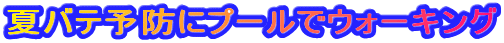 �ăo�e�\�h�Ƀv�[���ŃE�H�[�L���O